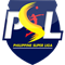 PSL - F2 Logistics Manila flag